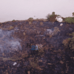 Incendio forestal de magnitud se produjo en un campo de seis hectareas en Pueblo Esther