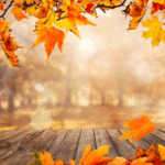 Otoño 2026 en Argentina: qué dice el pronóstico del SMN sobre lluvias y temperaturas