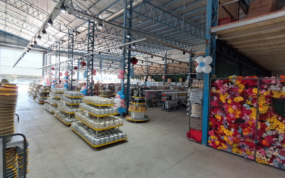 nuevo comercio Alvear bazar chino