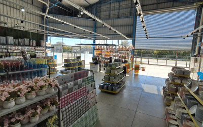 Asia Mall cerca de Pueblo Esther