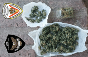 Procedimiento policial por tenencia de marihuana en Pueblo Esther