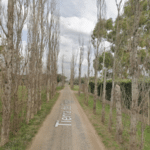 Pueblo Esther realizará una jornada de reforestación para recuperar la histórica Alameda de la ciudad