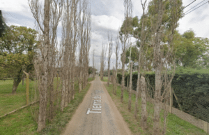 Vecinos participan en una jornada de reforestación de la histórica Alameda de Pueblo Esther para recuperar uno de los espacios naturales más representativos de la ciudad.